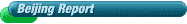 Beijing Report Website Sections