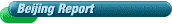 Beijing Report Website Sections